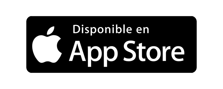 Paquetería y encomiendas listas para despacho con MovidosYa.cl – desarrollado por BonoboAgencia.com